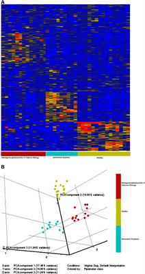 Immunosignature Differentiation of Non-Infectious Meningoencephalomyelitis and Intracranial Neoplasia in Dogs